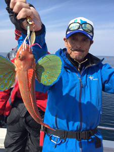 シーモンキー 釣果