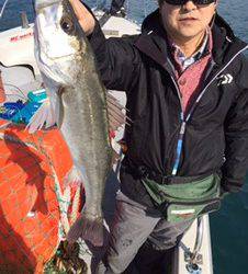 シーモンキー 釣果