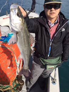 シーモンキー 釣果