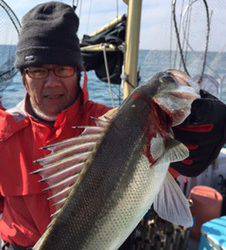 シーモンキー 釣果