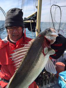 シーモンキー 釣果