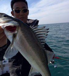 シーモンキー 釣果