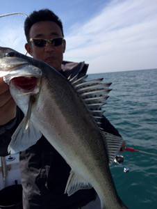 シーモンキー 釣果