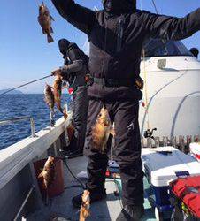 シーモンキー 釣果