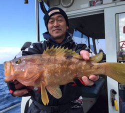 シーモンキー 釣果