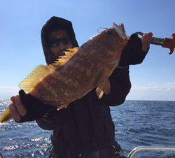 シーモンキー 釣果