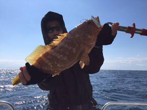 シーモンキー 釣果