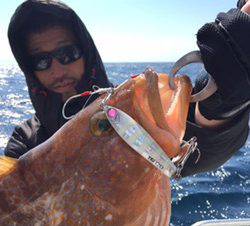 シーモンキー 釣果