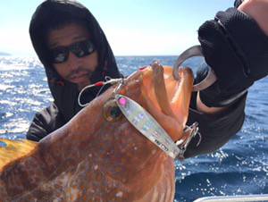 シーモンキー 釣果