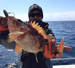 シーモンキー 釣果