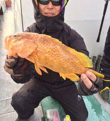 シーモンキー 釣果