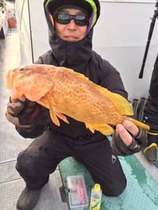 シーモンキー 釣果