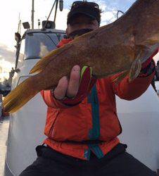 シーモンキー 釣果