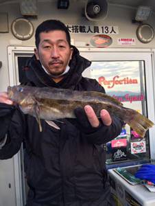 シーモンキー 釣果