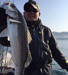 シーモンキー 釣果