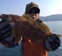 シーモンキー 釣果