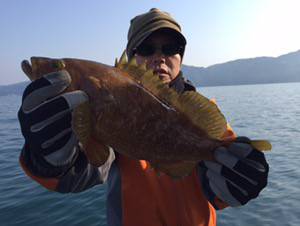 シーモンキー 釣果