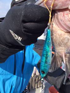 シーモンキー 釣果