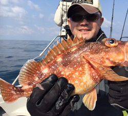 シーモンキー 釣果