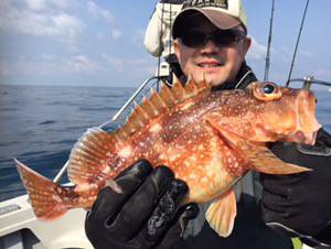 シーモンキー 釣果