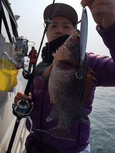 シーモンキー 釣果