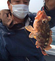 シーモンキー 釣果