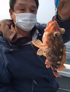 シーモンキー 釣果