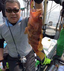 シーモンキー 釣果