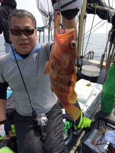 シーモンキー 釣果