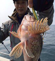 シーモンキー 釣果