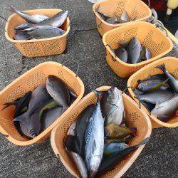 フィッシングハウス伊藤 釣果