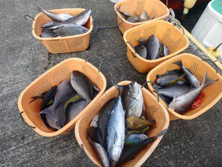 フィッシングハウス伊藤 釣果