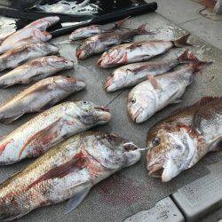 寿裕 （YOSHIHIRO） 釣果