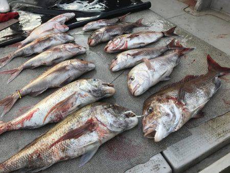 寿裕 （YOSHIHIRO） 釣果