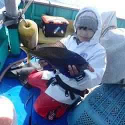 フィッシングハウス伊藤 釣果