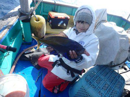 フィッシングハウス伊藤 釣果