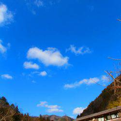 小菅トラウトガーデン 釣果