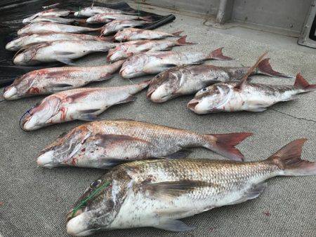 寿裕 （YOSHIHIRO） 釣果