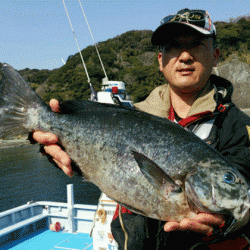 宮島丸 釣果