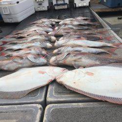 幸風（さちかぜ） 釣果