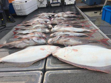 幸風（さちかぜ） 釣果