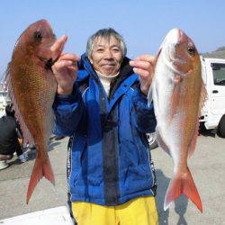 大進丸(新潟) 釣果