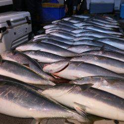幸風（さちかぜ） 釣果