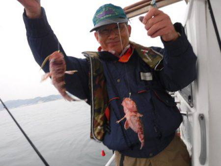 遊漁船 幸友丸 釣果