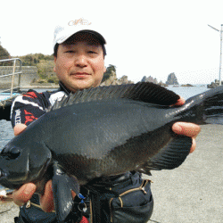 宮島丸 釣果