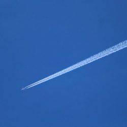 小菅トラウトガーデン 釣果