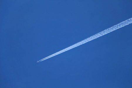 小菅トラウトガーデン 釣果