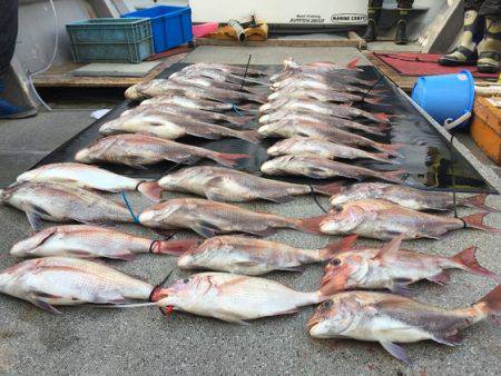 幸風（さちかぜ） 釣果