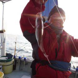 遊漁船 幸友丸 釣果