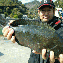 宮島丸 釣果